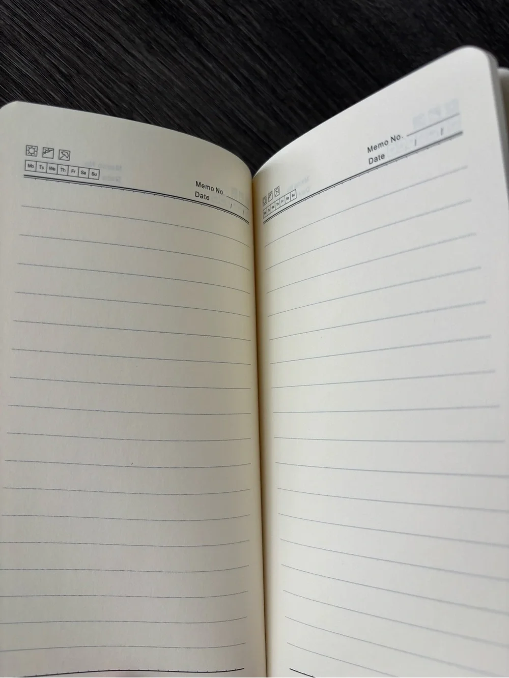 Megan Moroney Am I Okay? Tour Notebook